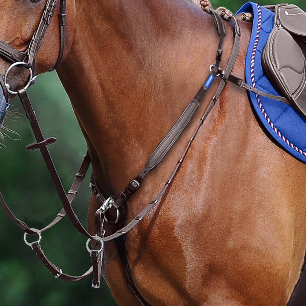 Passier PASSIERBLU Easy Breastplate