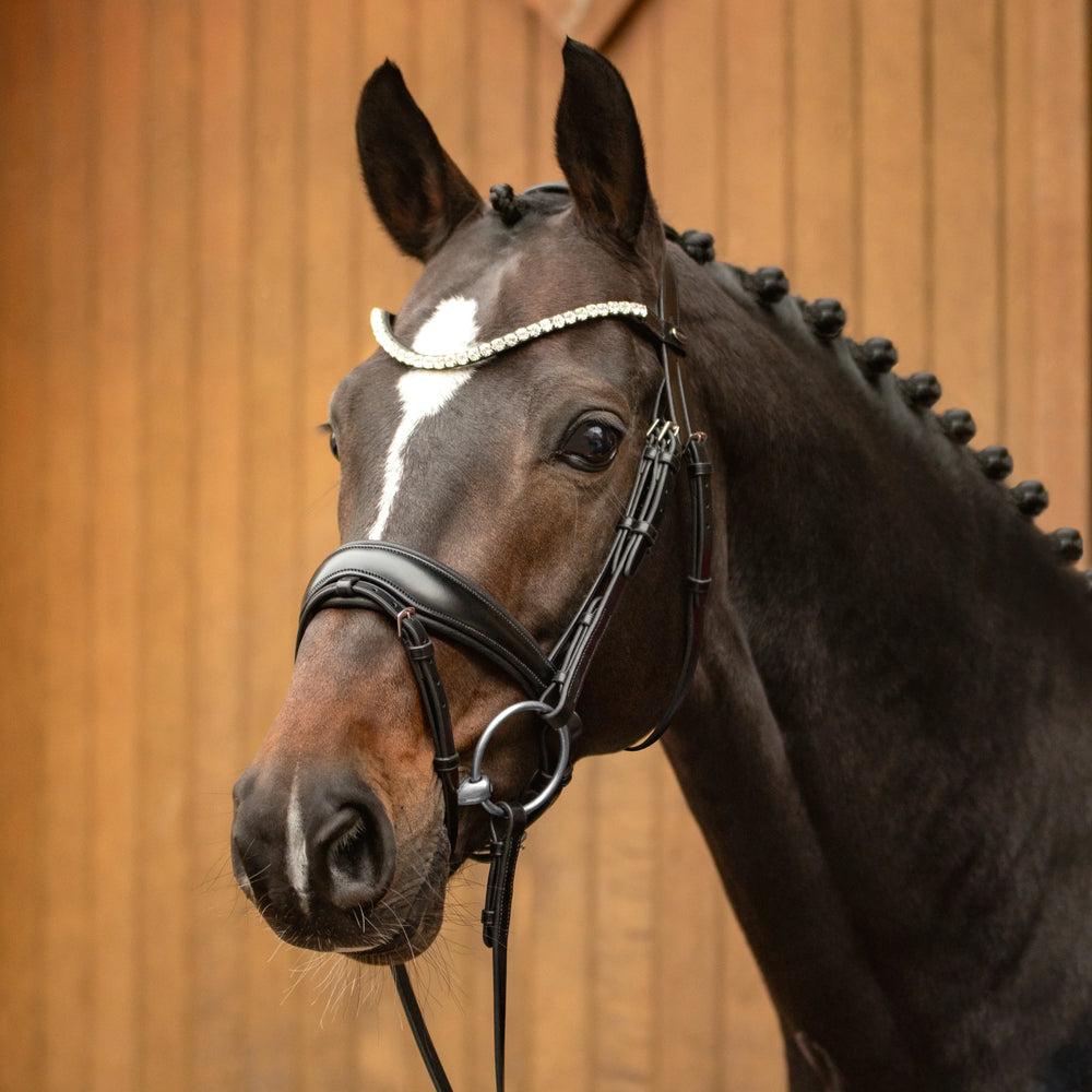 Passier favorite Trense powered by Ingrid Klimke