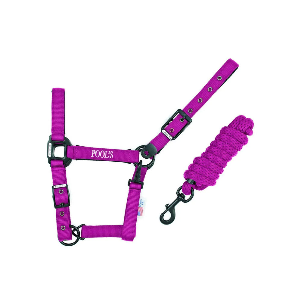 Licol en nylon Pool's CA00027K