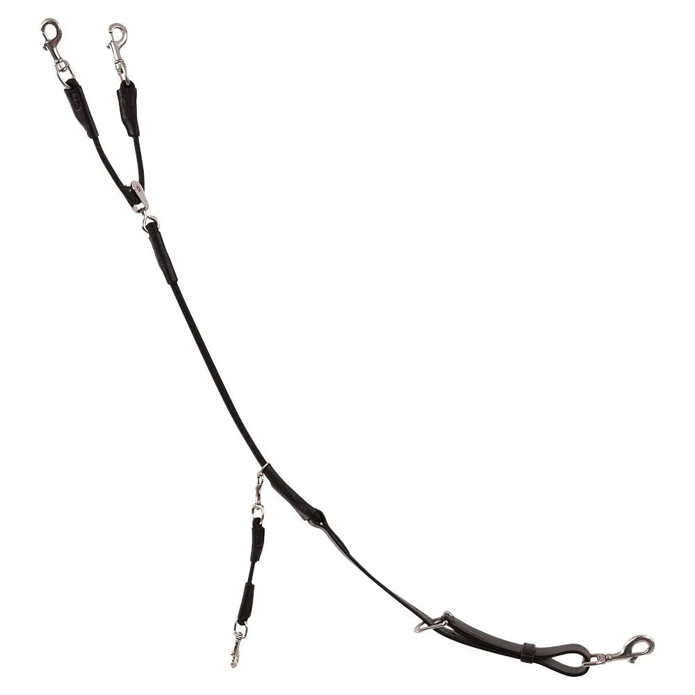Trust training reins Tyron