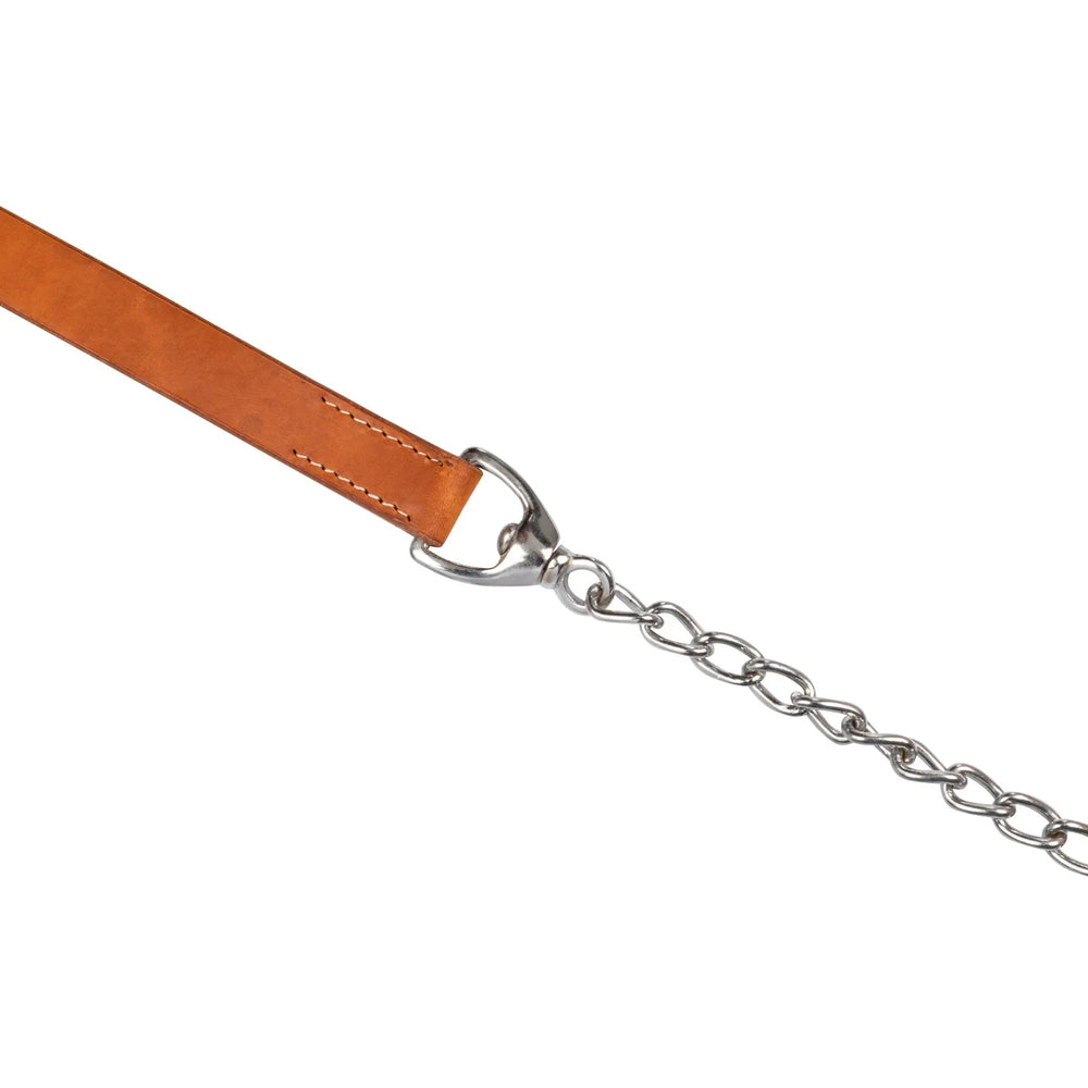 Laisse en cuir de Pool's avec chaîne PL6190