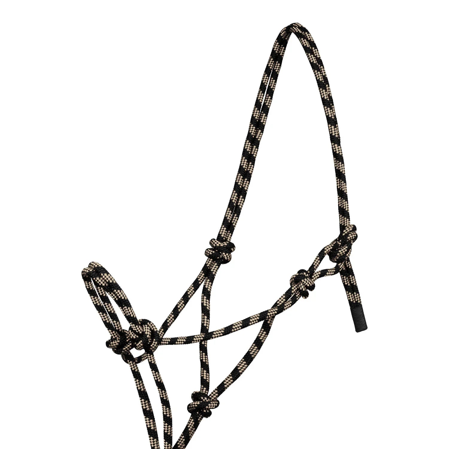 Halster van Pool met geknoopt touw en riem PLH03017