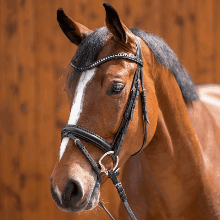 Herm. Sprenger dynamic RS Eggbutt bit with D-shaped rings 16 mm single jointed 40408 - HorseworldEU