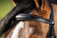 HFI elegant bridle - HorseworldEU