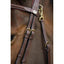 HFI functional bridle HFI