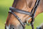 HFI soft bridle - HorseworldEU