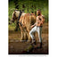 Horse and hunk calender 2023 HorseworldEU